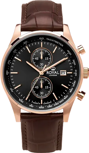 Часы ROYAL LONDON 41510-04