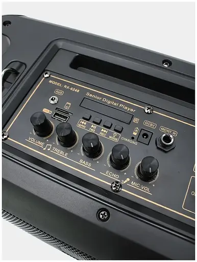 Портативна акустична колонка RX-6248 з мікрофоном та пультом - фото 10