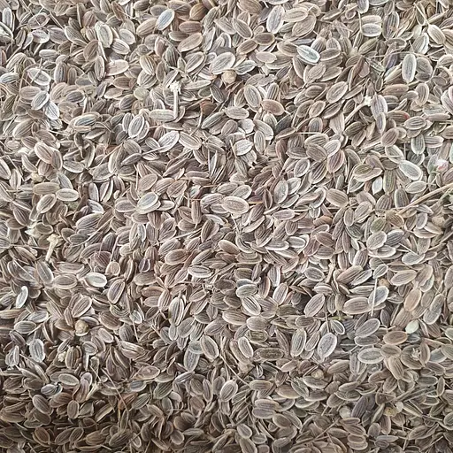 100 г укроп семена сушеные - свежий урожай