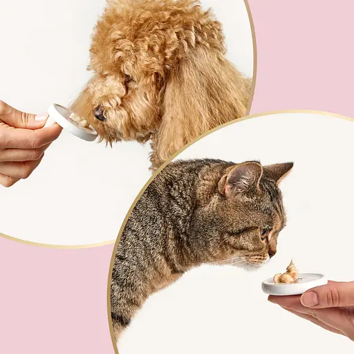 Ласощі кремові для собак та котів Delickcious молоко з сиром 60 г (4х15 г) - фото 8