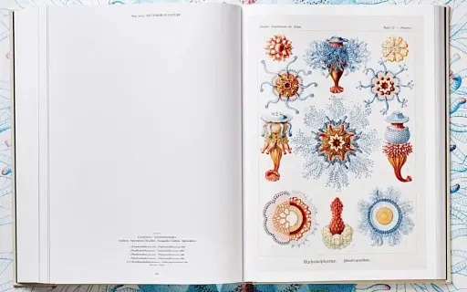 The Art and Science of Ernst Haeckel - фото 11