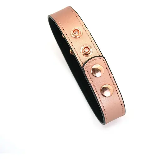 Нашийник із затискачами для сосків Liebe Seele Rose Gold Memory Collar With Nipple Clamps - фото 11
