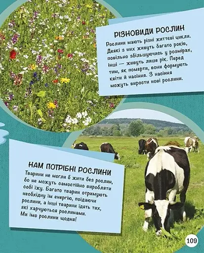 Енциклопедія юних розумників - фото 18