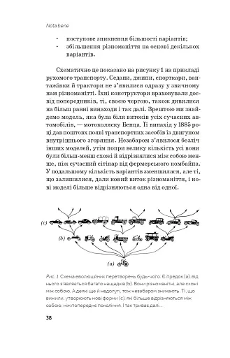 Слідуй за розбитим черепом. Історія еволюції скелета - фото 9