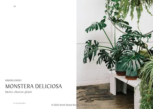 Plantopedia - фото 3