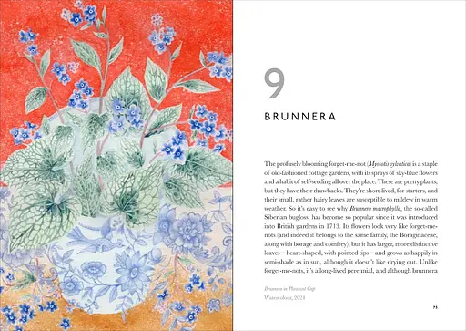 The Book of Garden Flowers - фото 5