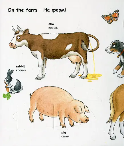 My first English words. Тварини - фото 3