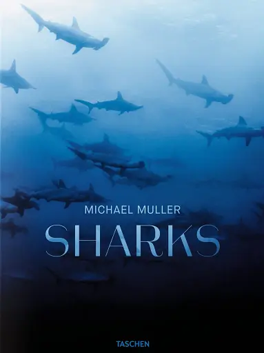 Michael Muller. Sharks