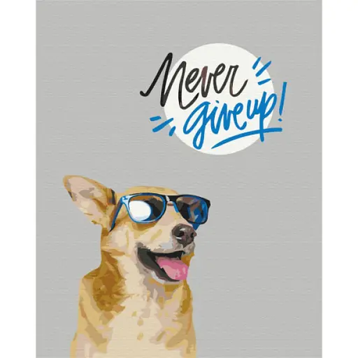 Набор для росписи по номерам Никогда не сдавайся!, 40x50 см, BS52552