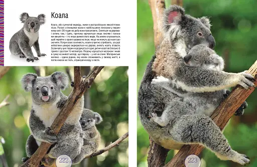 Малята звірята - фото 10