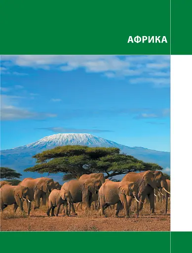 Географія 7 клас. Світ материків і океанів. У пошуках відповідей - фото 5