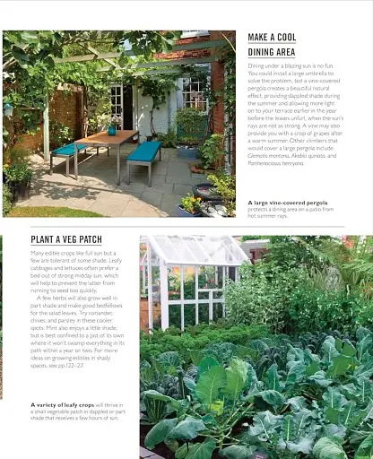 Grow Shade Garden. Essential Know-how and Expert Advice for Gardening Success - фото 5