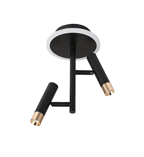 Стельовий світлодіодний світильник G 2917/2 16W Чорний+Золото - фото 2