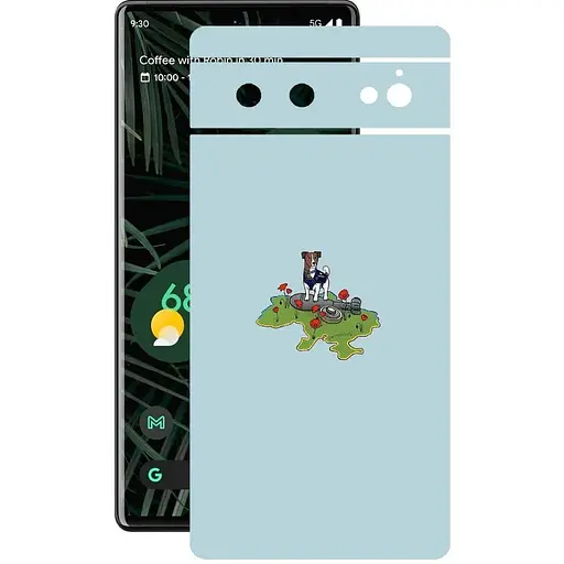 Захисна плівка StatusSKIN для Google Pixel 6 Корпус Вініл Патрон 2 - фото 1