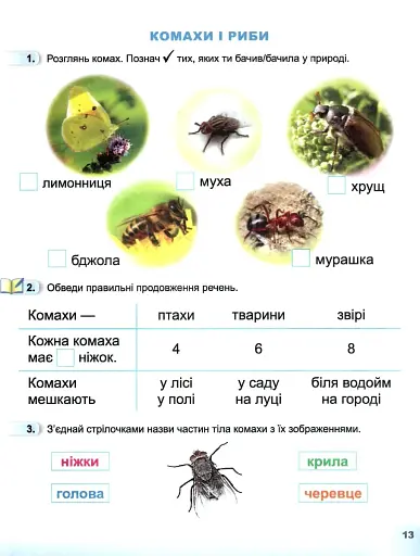 Я досліджую світ 1 клас. Робочий зошит. Частина 2 - фото 2
