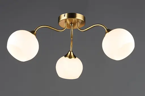 Потолочный светильник N6632/3