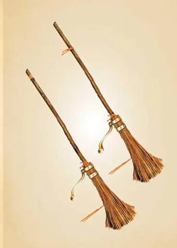 Harry Potter: The Mini Book of Brooms - фото 5