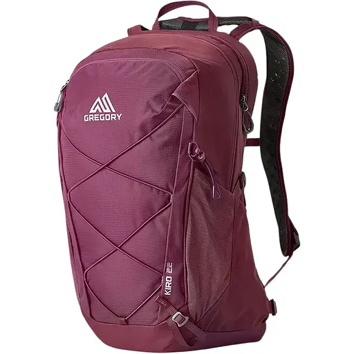 Рюкзак Gregory Kiro 22 Amethyst (1053-136982 B170)