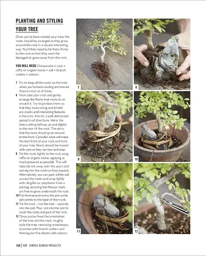 Grow Bonsai - фото 13