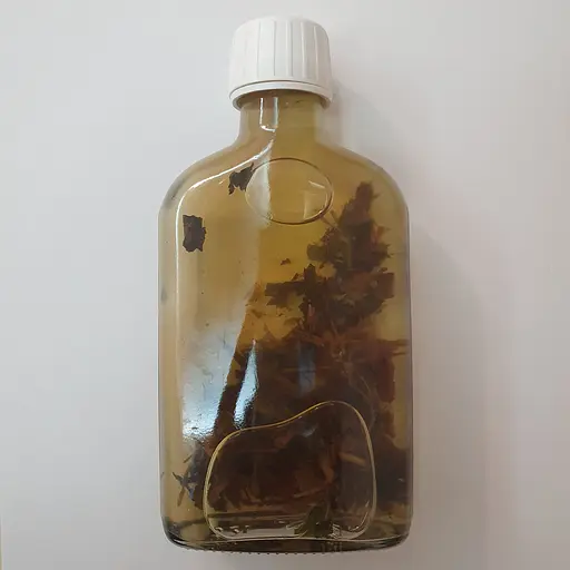 Водна настойка на траві горець почечуйний 200 мл - фото 2