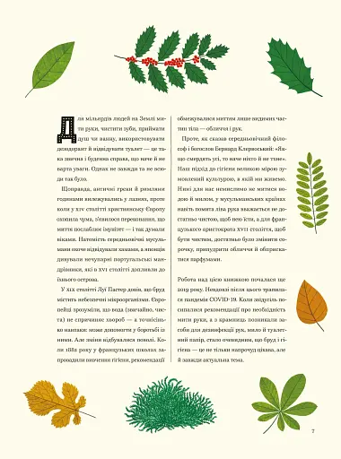 Бруд. Смердюча історія гігієни - фото 3