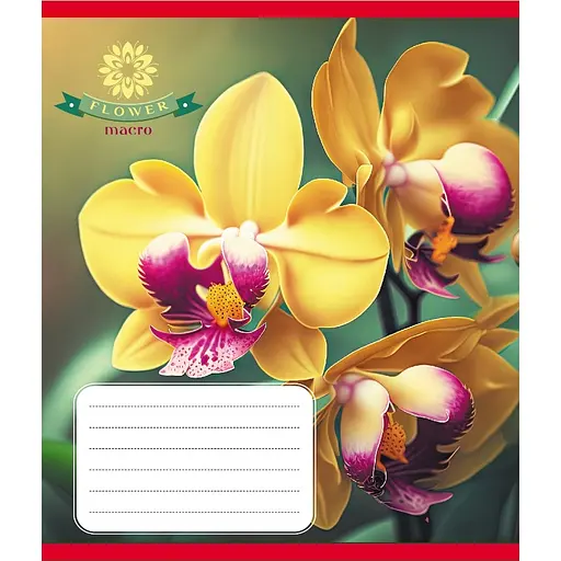 Тетрадь ученическая "Орхидея" Leader 036-570137K-1 в клеточку, 36 листов - фото 1