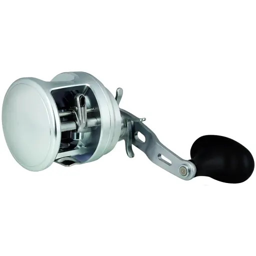 Катушка Shimano Ocea Calcutta 301 HG 5 1BB 6.0:1 - фото 2