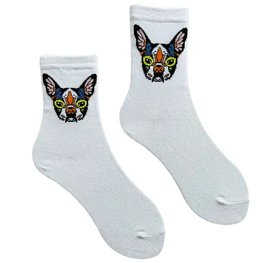 Носки женские "Французский Бульдог" из индийского хлопка белые 213050 - фото 1