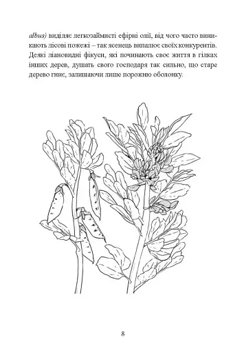 Отрути і прокляття. Тіньове життя рослин - фото 8