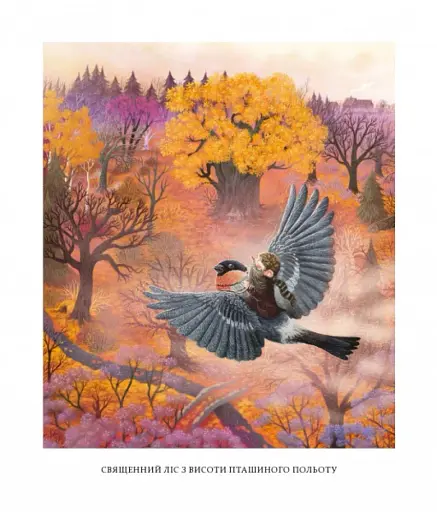 Різдвяні оповідки про гнома та видимих і невидимих лісових мешканців - фото 2