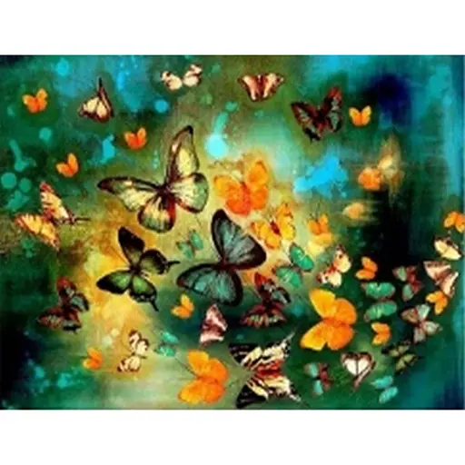 Алмазна мозаїка зі стразами на підрамнику 40*50 Танець метеликів - фото 1