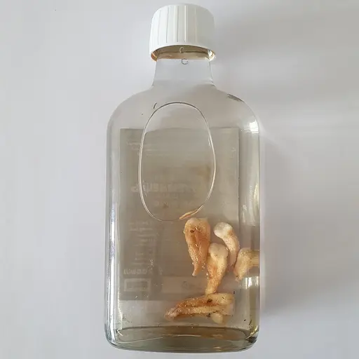 Настоянка на корінні зозулинець ятришник 200 мл - фото 2