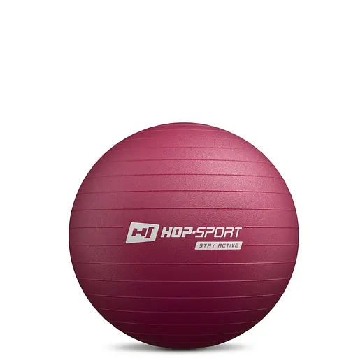 Фітбол Hop-Sport 45 см HS-R045YB сливовий + насос - фото 2