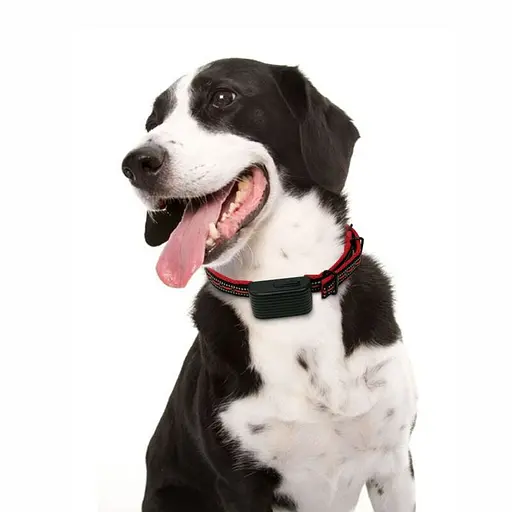 Електронний ошийник для собаки для дресирування + антилай 2 в 1 Dobe DB 500, червоний ремінець (100608) - фото 6