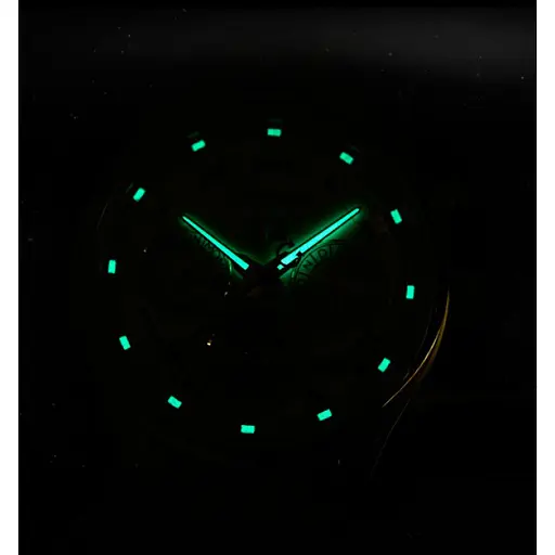 Чоловічий годинник Carnival Sappfire - фото 6