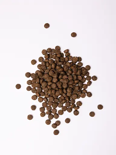 Сухий корм для собак середніх порід Savory Medium Breed rich in Fresh Turkey & Lamb зі свіжим м'ясом індички і ягняти 12 кг - фото 4