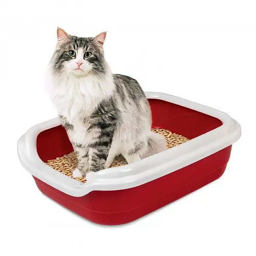 Туалет Природа Comfort L для кошек 49х39х15 см (бордовый) - фото 2