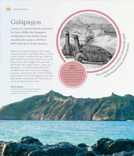 The Ocean Book: The Stories, Science, and History of Oceans - фото 7