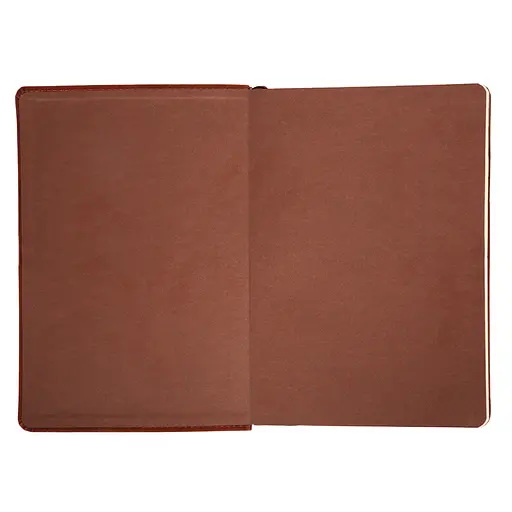Дневник-деловая записная книжка А5 Leo Planner датированный 2026 Case коричневый 368 страниц (252659) - фото 2