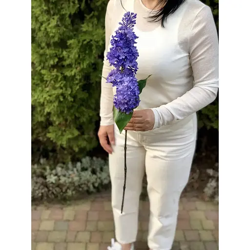 Сирень латексная Real Touch премиум качество ветка 72 см голубая - фото 8