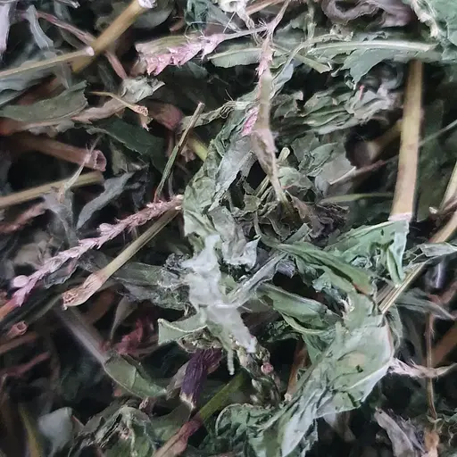 100 г водяний перець/гірчак перцевий трава сушеная - свіжий урожай