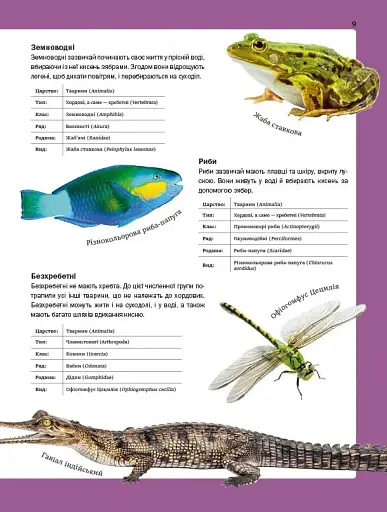 Велика книга тварин - фото 9