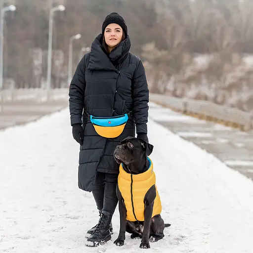 Двостороння курточка AiryVest для собак , "Colors of freedom", розмір L65 [CD] - фото 3