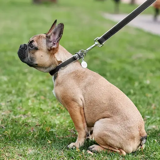 Поводок для собак Waudog Soft кожаный Ш 18 мм, Дл 122 см черный - фото 4