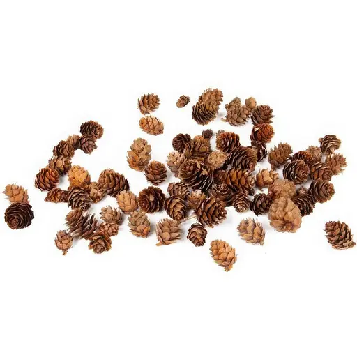 Набір декоративних шишок Lefard 100 г (801-579)