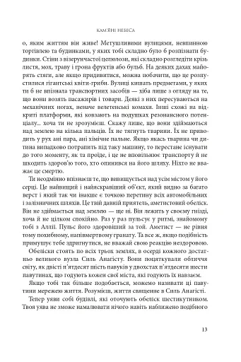 Розламана земля. Кам’яні небеса. Книга 3 - фото 4