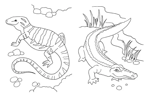 Велика книга розмальовок. Тварини - фото 3