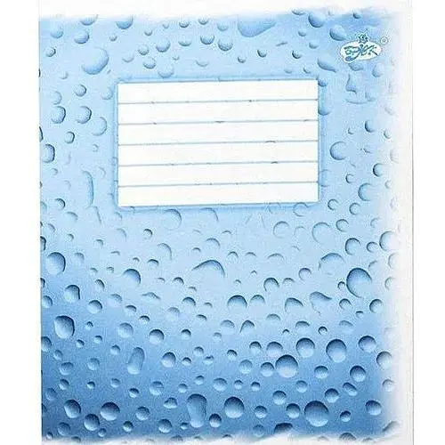 Зошит учнівський ФОНОВА Бріск 603 12 аркушів (4820058220603)(SC) - фото 1