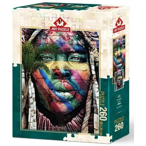 Пазл Art Puzzle Граффити Сан-Паулу 260 эл. (5021)
