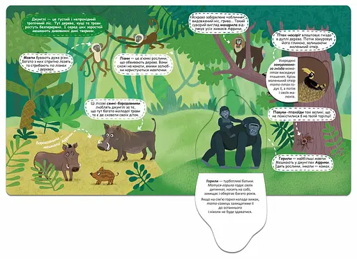 Загадкові джунглі та їхні мешканці - фото 5